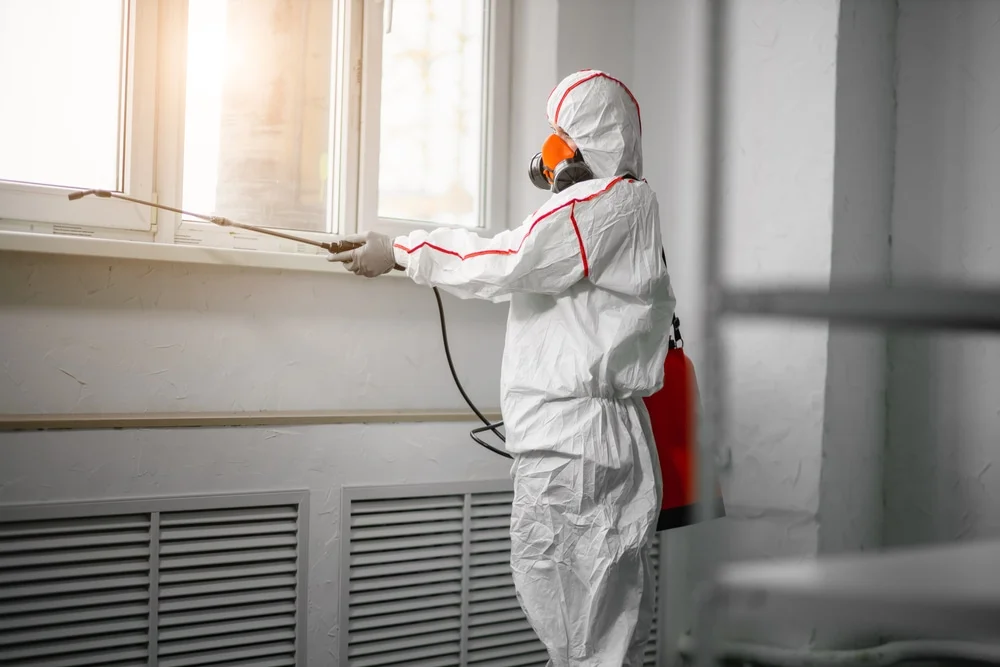 Professional mold remediation services in Bonifay, FL